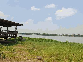 ขายที่ดิน ติดแม่น้ำเจ้าพระยา ติดถนนทางหลวง 3309 ถนนศูนย์ศิลปชีพบางไทร-บางพูน ที่ดินสวยมาก ติดน้ำติดถนนติดน้ำ ติดแม่น้ำกว้างมากกว่า 50 เมตร ติดถนนกว่า 60 เมตร  ขนาด 5-1-33.3 ไร่ เลขที่ 17 หมู่ 3 ต.ราชคราม อ.บางไทร จ.พระนครศรีอยุธยา  ใกล้ร้านอาหารชื่อดังเรื